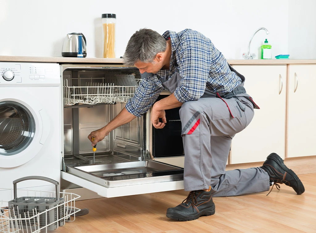 Dishwasher repair and care
